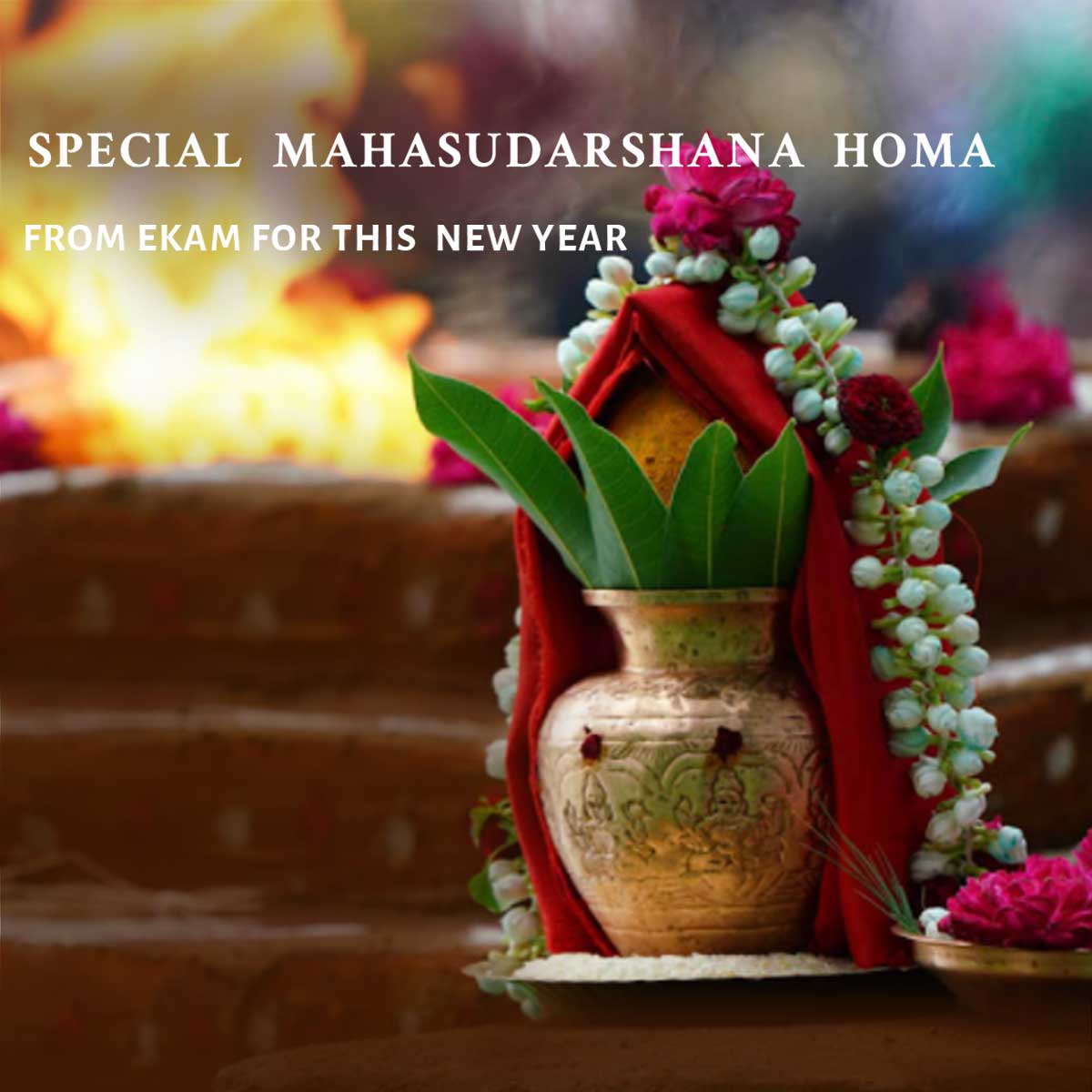 エーカム・守護のためのマハ・スダルシャナ・ホーマ