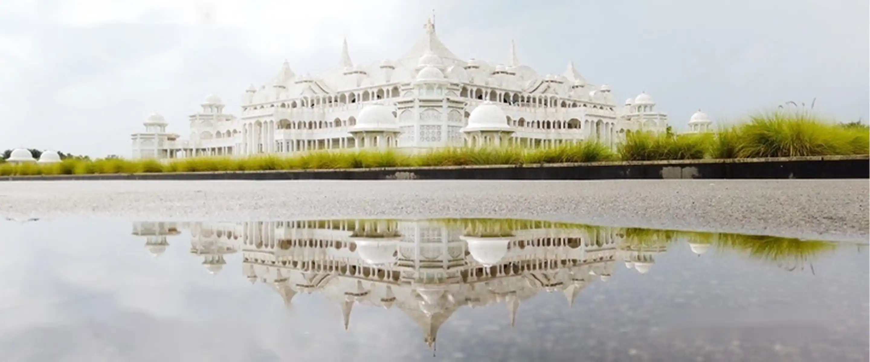 ワンネスストレスデトックスとは