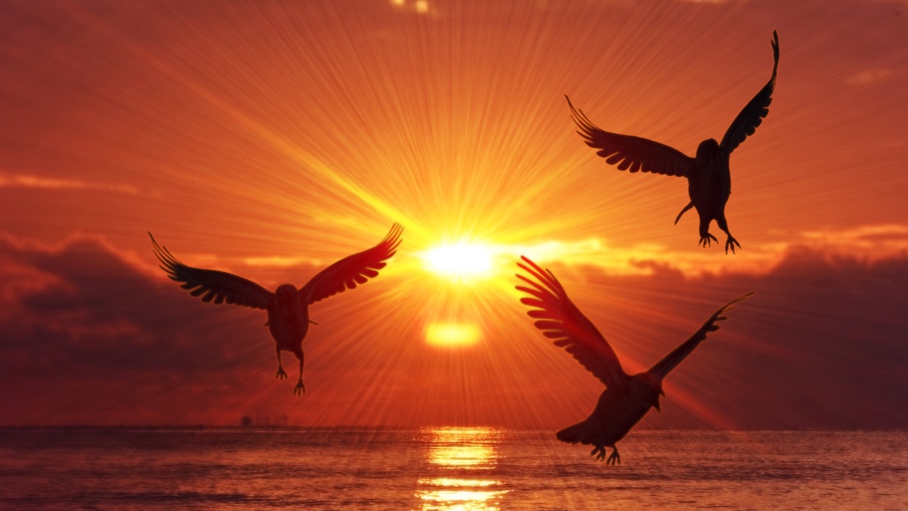 今夜21時00分〜マニフェスト準備コール！！