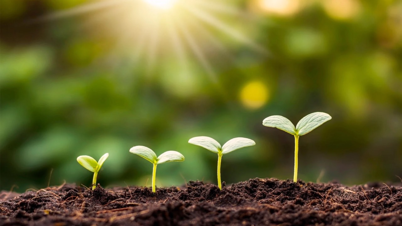 ◆プレミアムメンバー＆通常マニフェストメンバーシップの違い