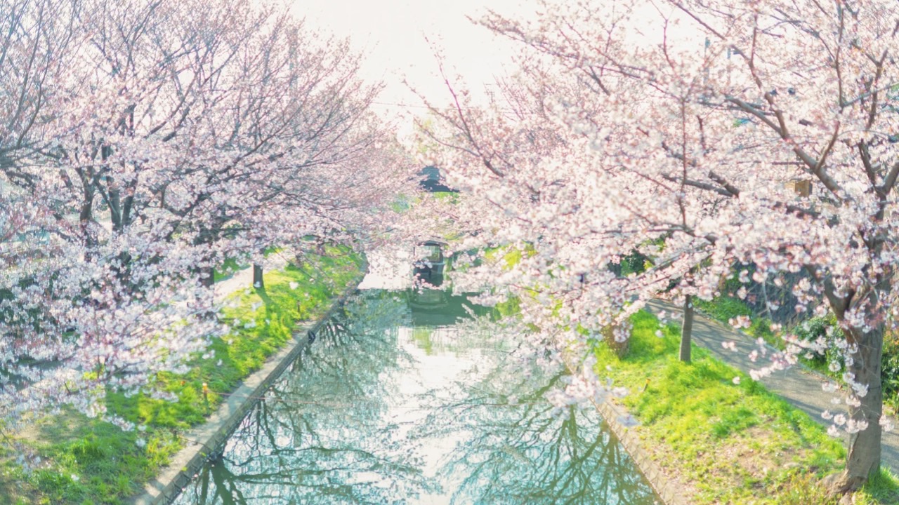 🌹【申込4/20昼12時まで】エーカム16周年記念シュリ・クリシュナ時とのスペシャル祝賀セレモニーin EKAM‼️