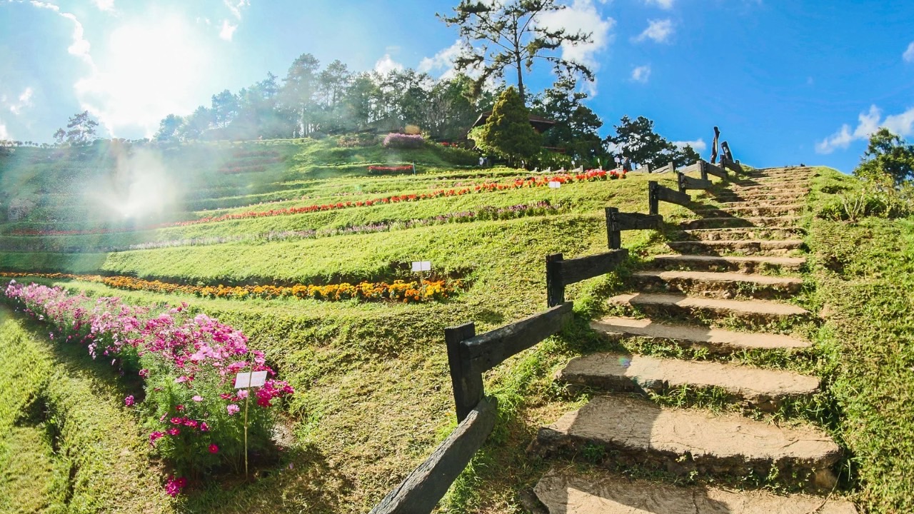 🌹瞑想とは「自分の目の前で起きていることに注意を注ぐこと」｜シュリ・クリシュナジ　