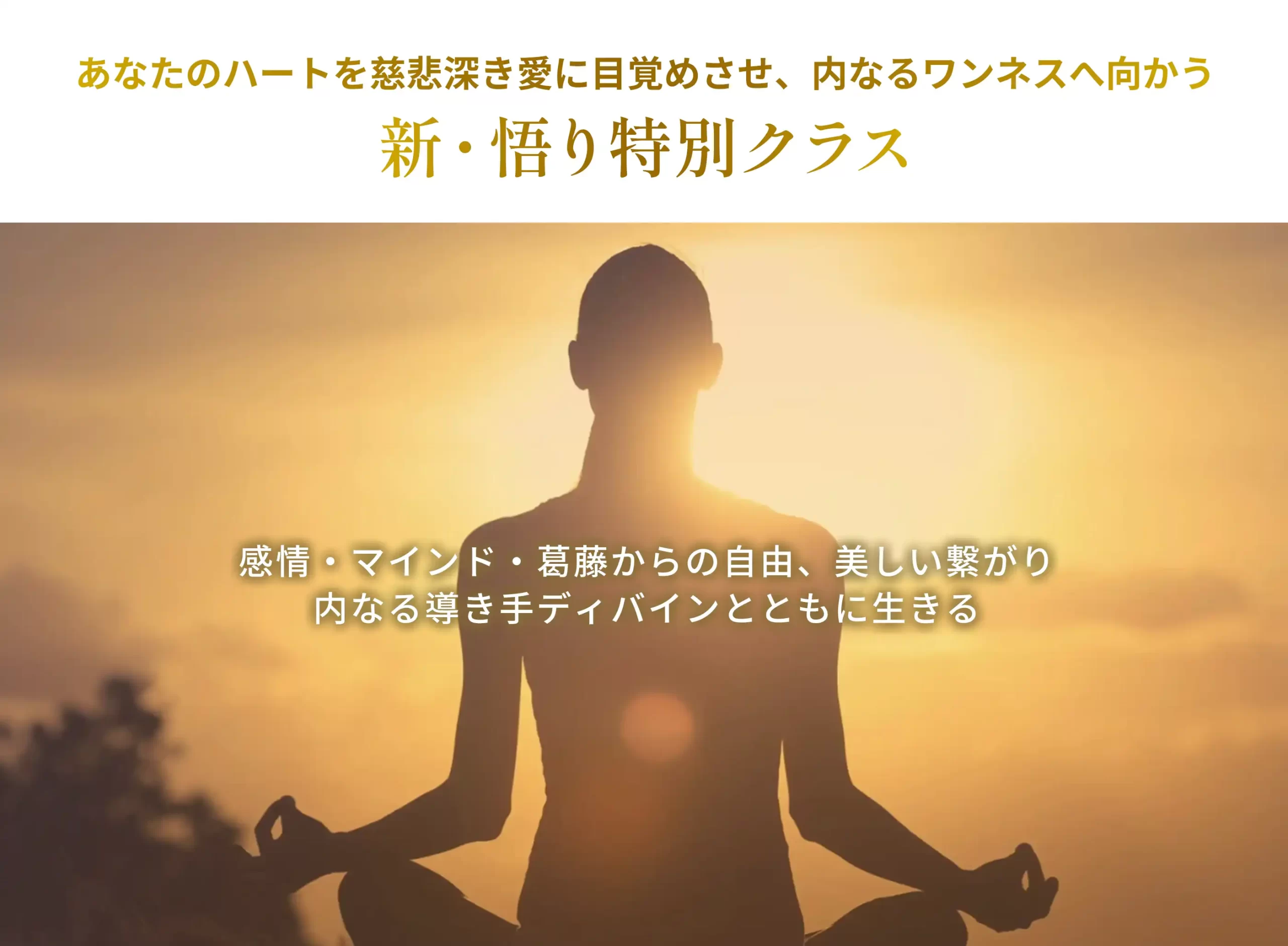 悟り特別クラス2026